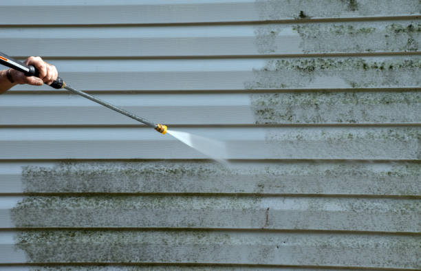 Best Window and Screen Pressure Cleaning in North Zanesville, OH