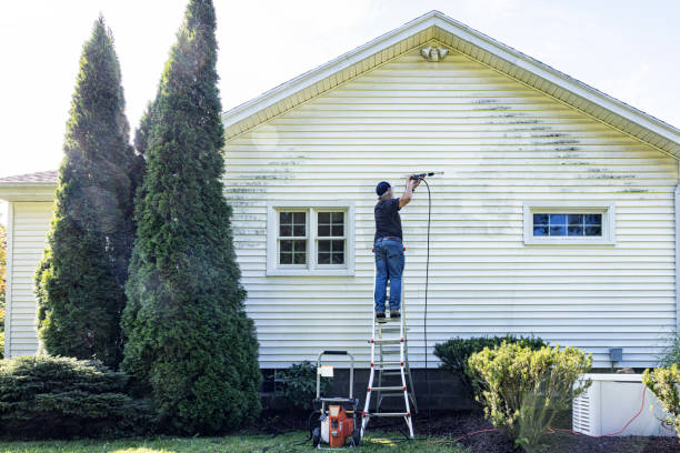 Best Driveway Cleaning and Restoration in North Zanesville, OH